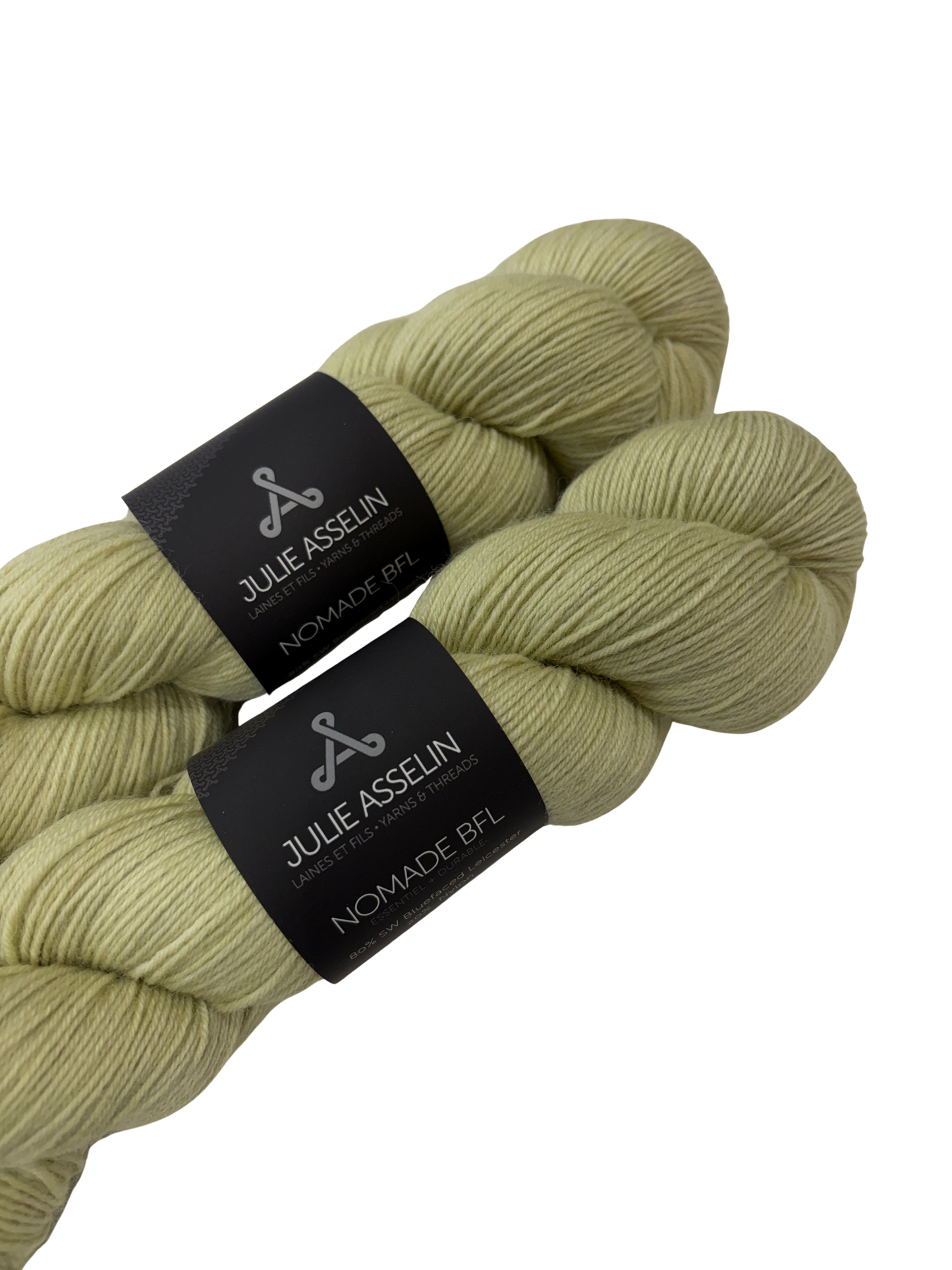 Julie Asselin Nomade BFL