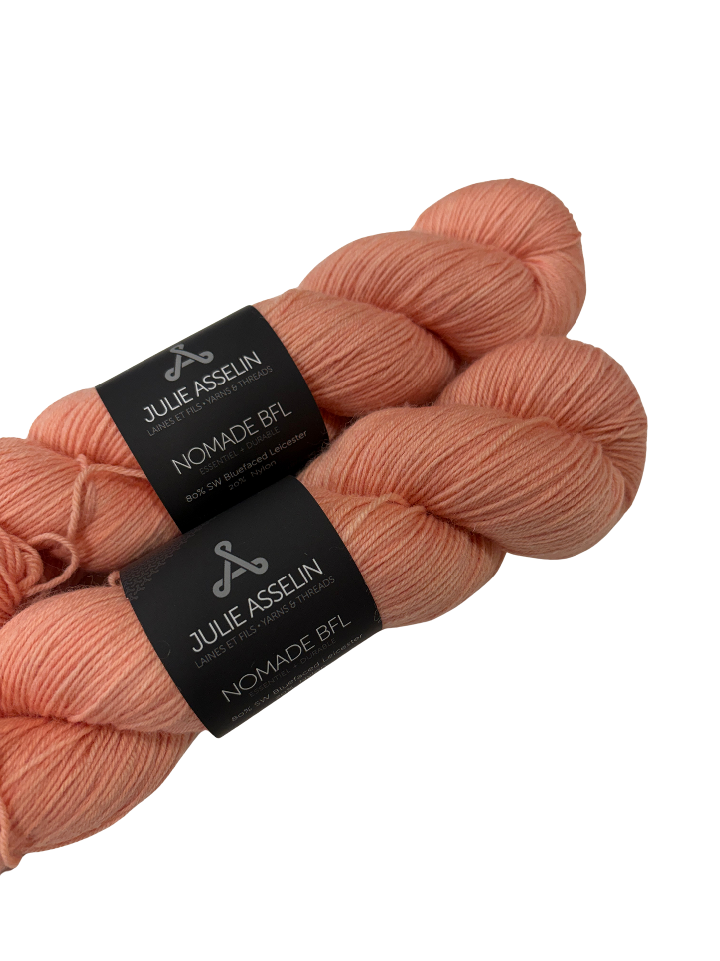Julie Asselin Nomade BFL