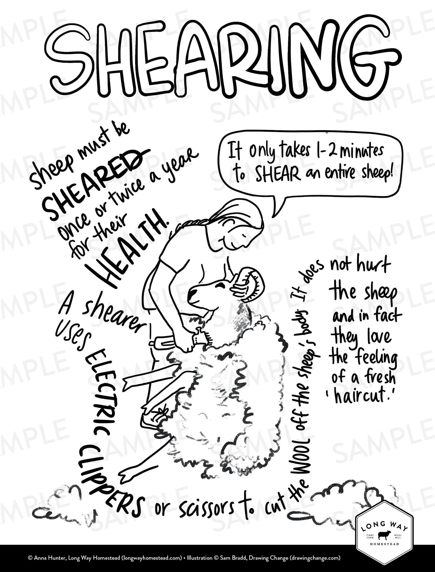 Sheep & Wool Colouring Book